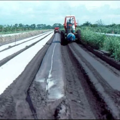 thumbnail for publication: Open-Field Soilless Culture of Vegetables